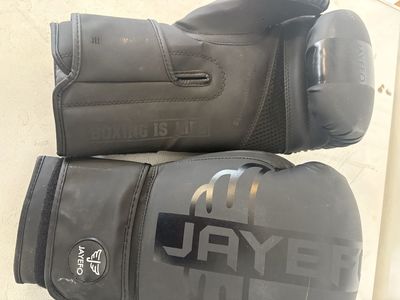 Jaefo 16 Ounce Boxing Gloves