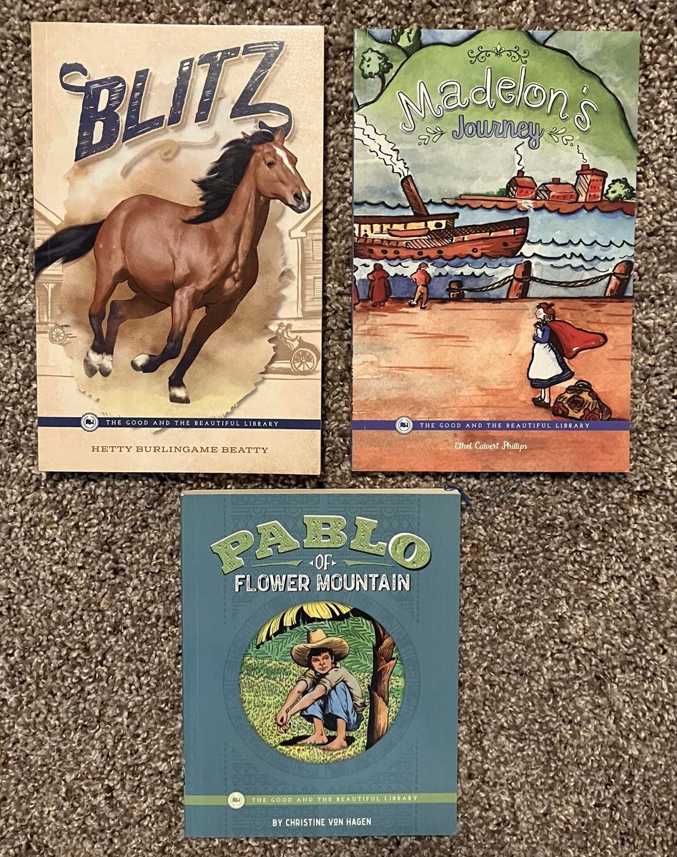 Lot of 15 The Good and the Beautiful Library Children's Books Level 7