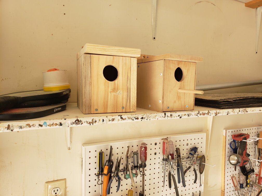 bird breeder box