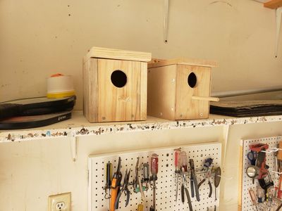 bird breeder box