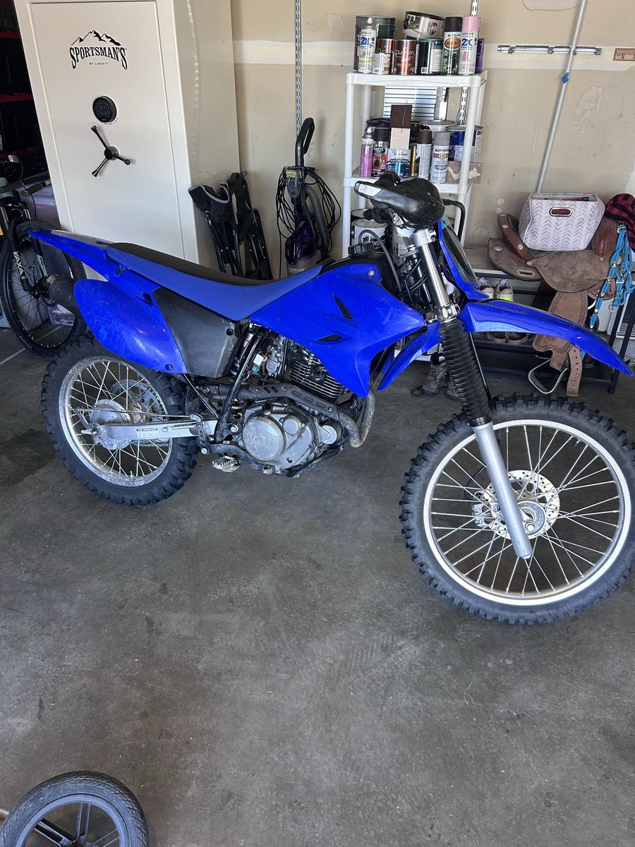 2024 Yamaha TTR230