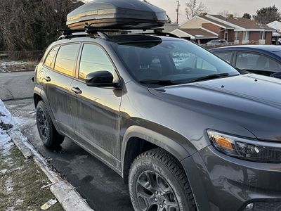 Thule roof box