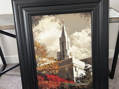 Beautiful Picture of Bountiful Temple