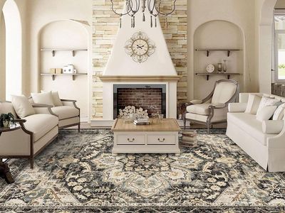 NEW Oriental Area Rug - 9x12 Rugs for Living Room Soft Carpet for Bedroom Floral Distressed