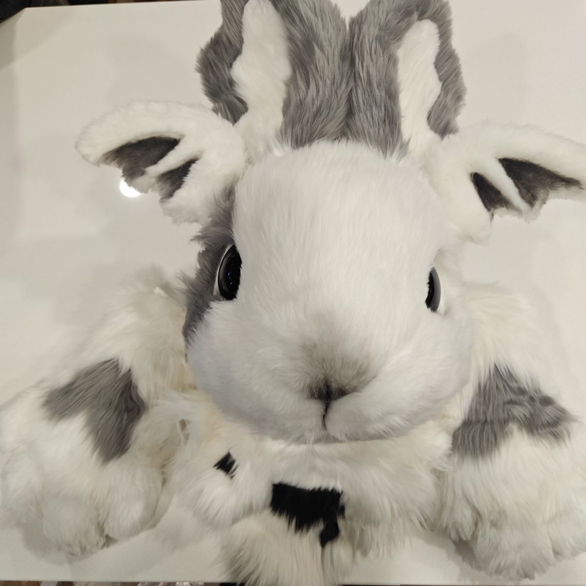 Main image 4