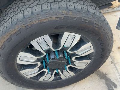 Denali ultimate stocks
