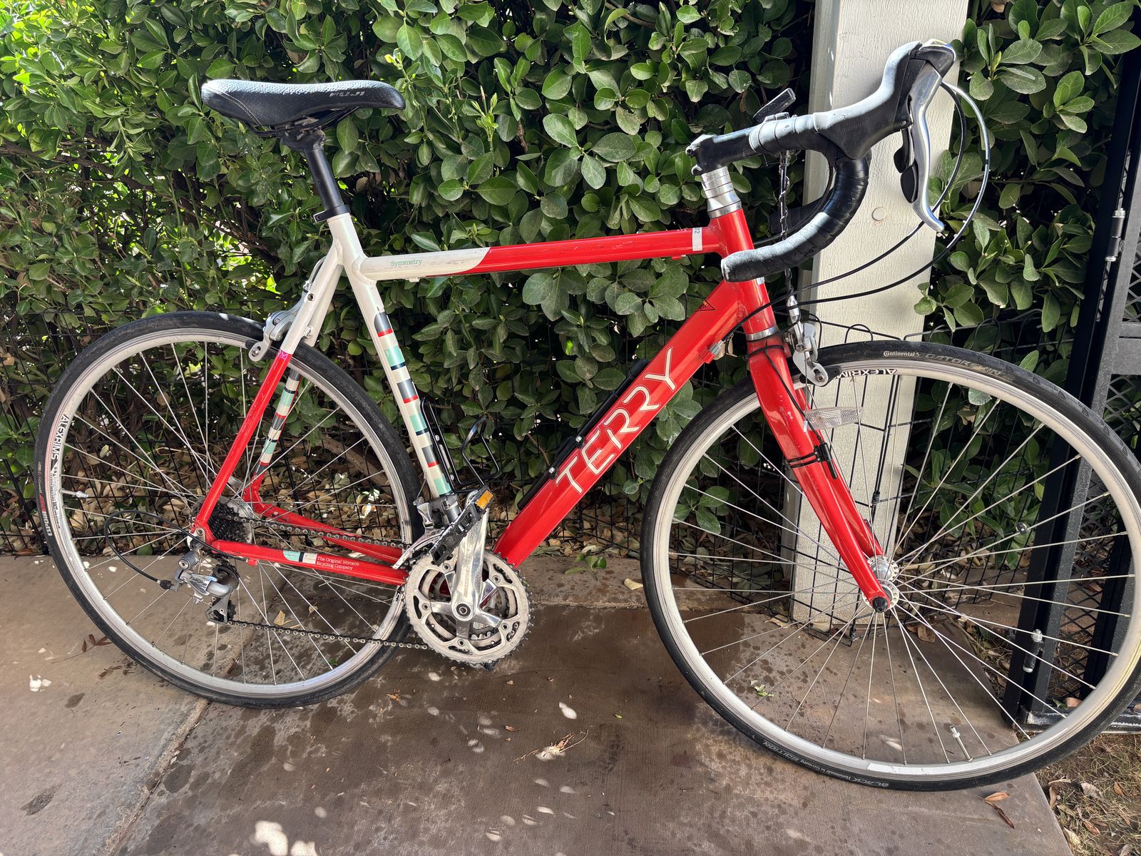 Terry women's XL road bike