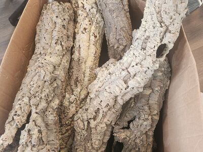 Cork Bark Rounds. Entire Box.