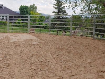 Arena Sand