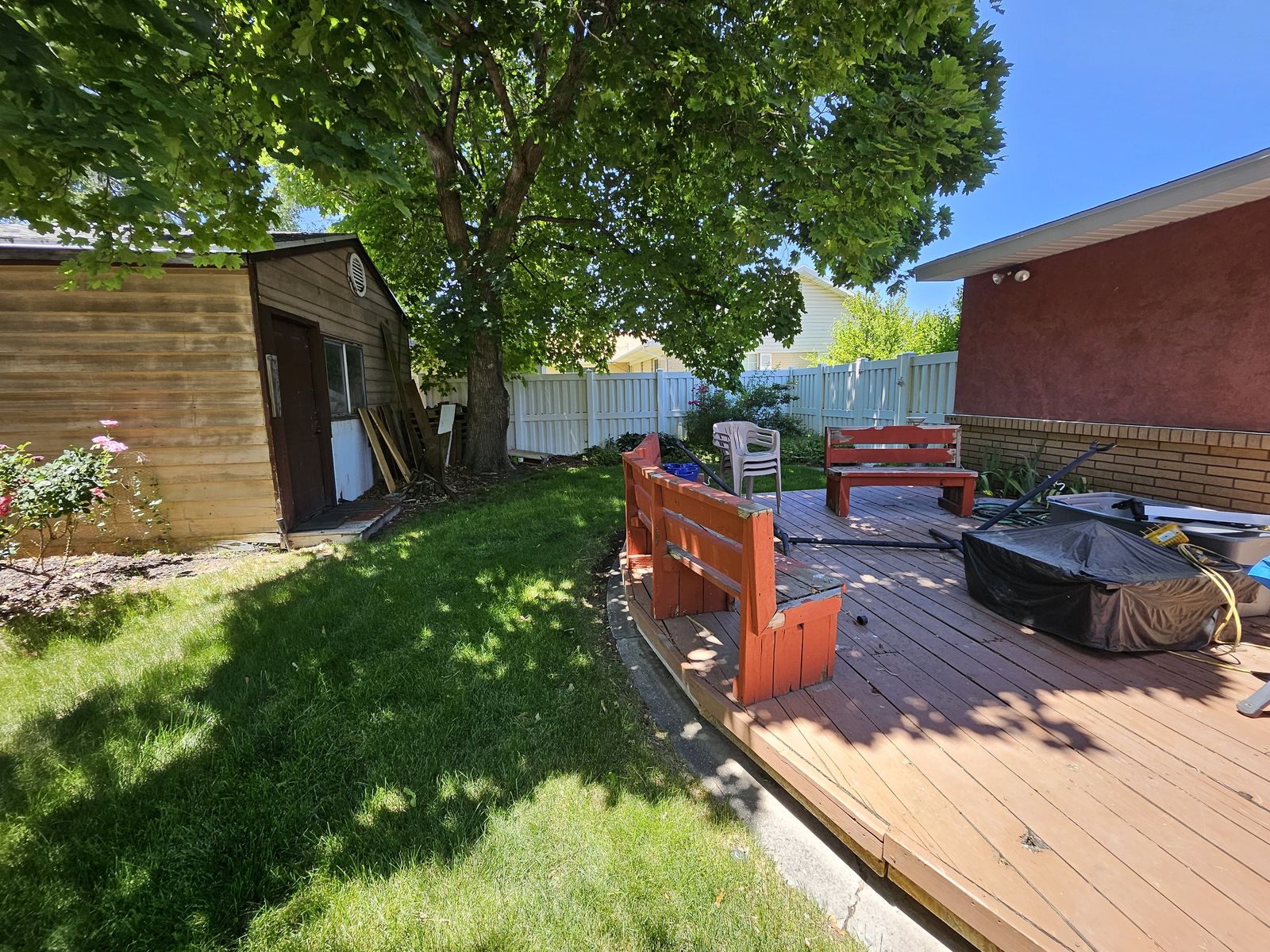 Main image 19