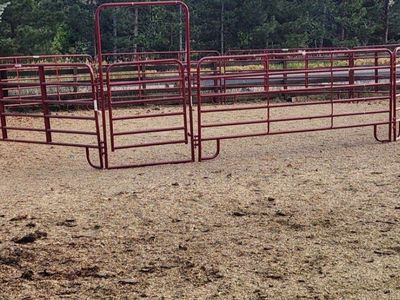 Tarter round pen horse/cattle panels