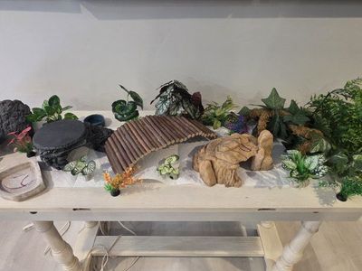 Reptile Decor, plants etc