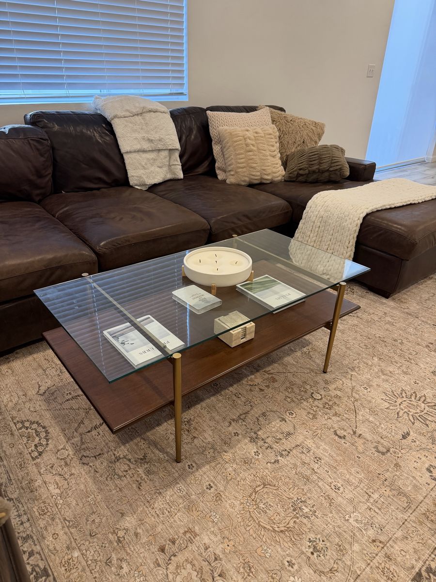 Modern Glass and Wood Coffee Table with Brass Finish Legs