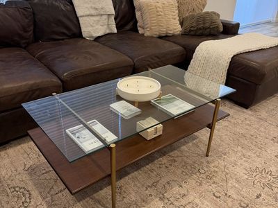 Modern Glass and Wood Coffee Table with Brass Finish Legs