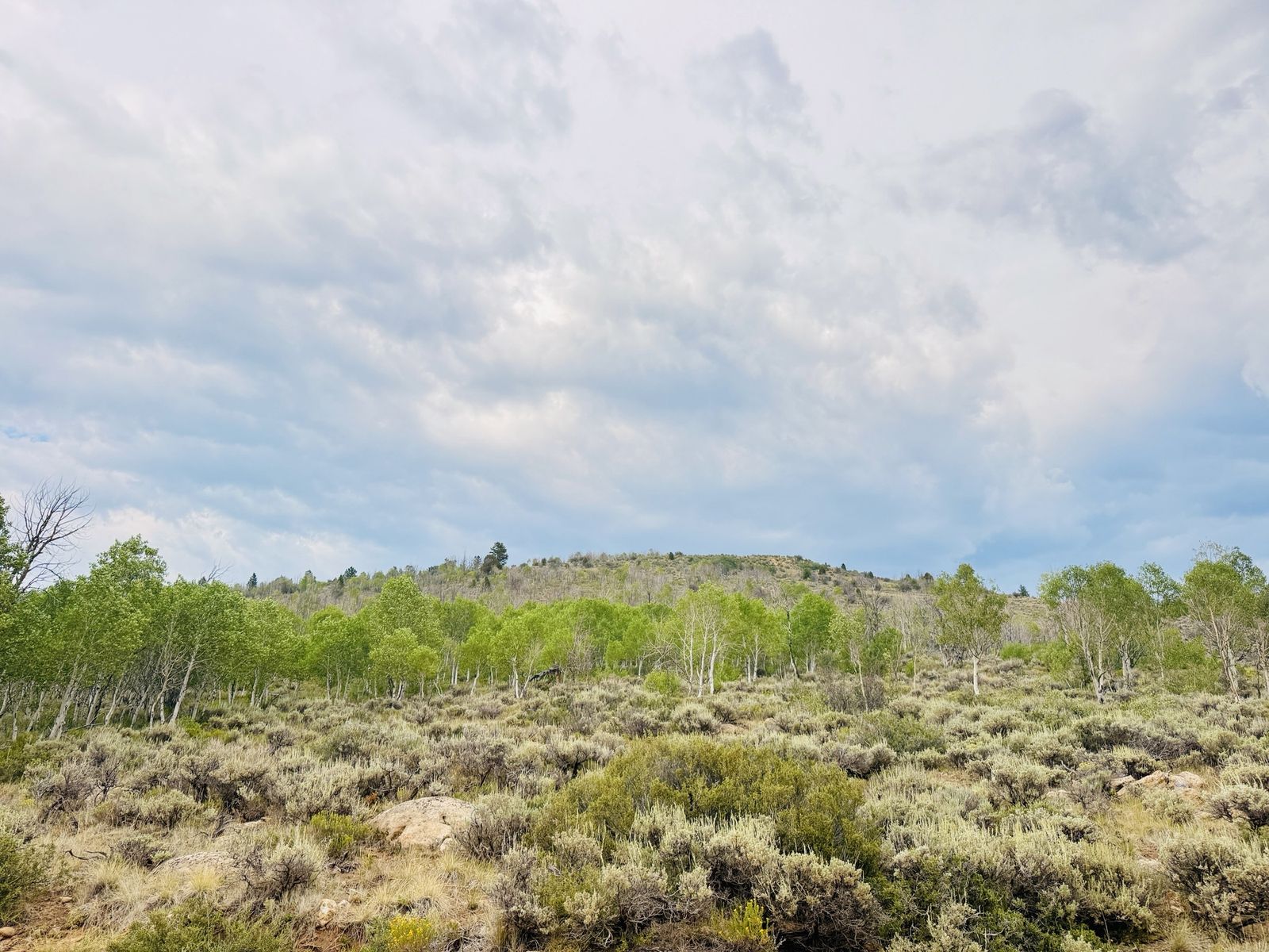 Main image 11
