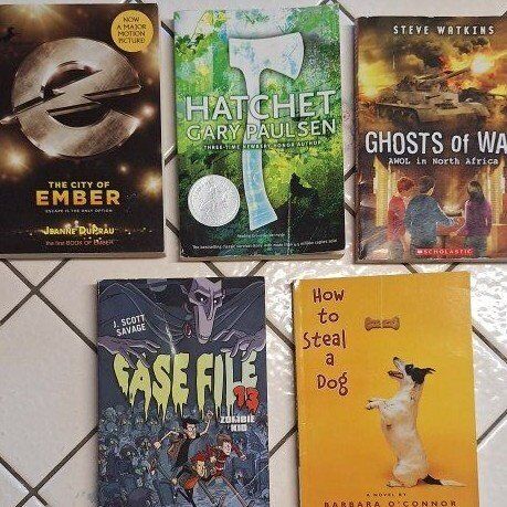 BOY BOOKS For Summer READING "BOY" Books