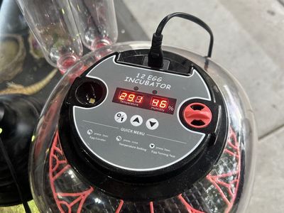 Incubator