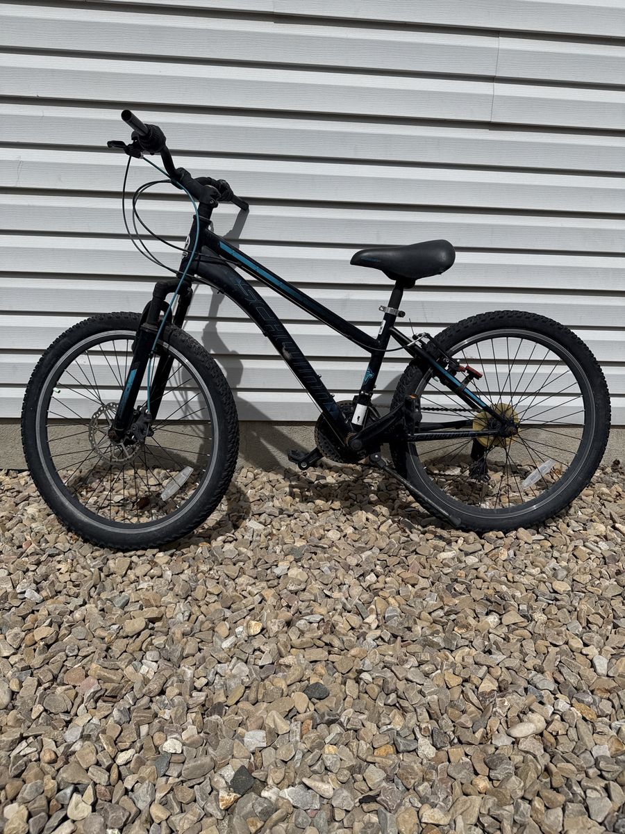 Schwinn Sidewinder