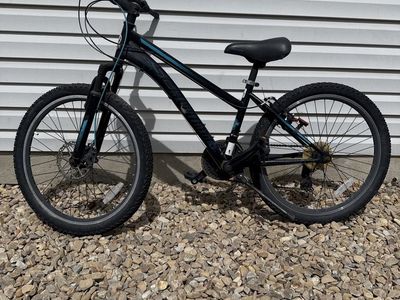Schwinn Sidewinder