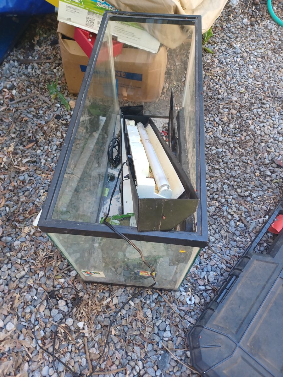 40 gallon lizard tank