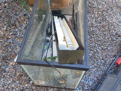 40 gallon lizard tank