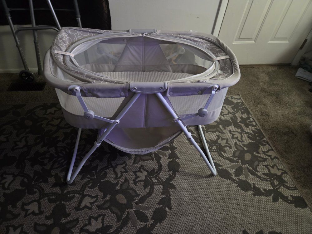 bassinet and Lounger