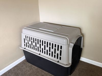 Pet Carrier Crate - Large, Two-Tone (Tan/Black) for Dogs/Cats