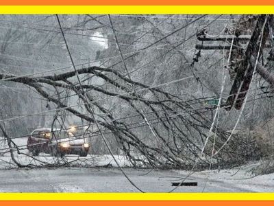 Are you looking for an emergency FUEL/HEAT source?