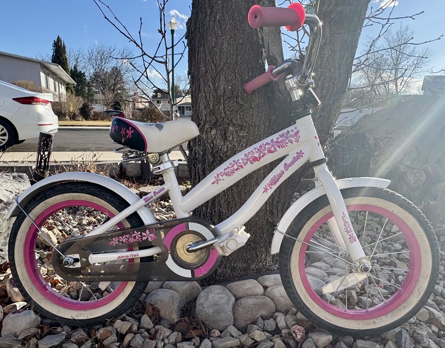 14 Inch Bike In Great Condition