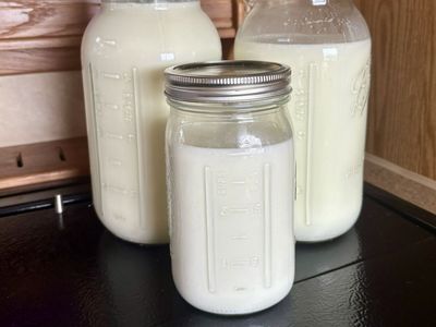 Raw goats milk