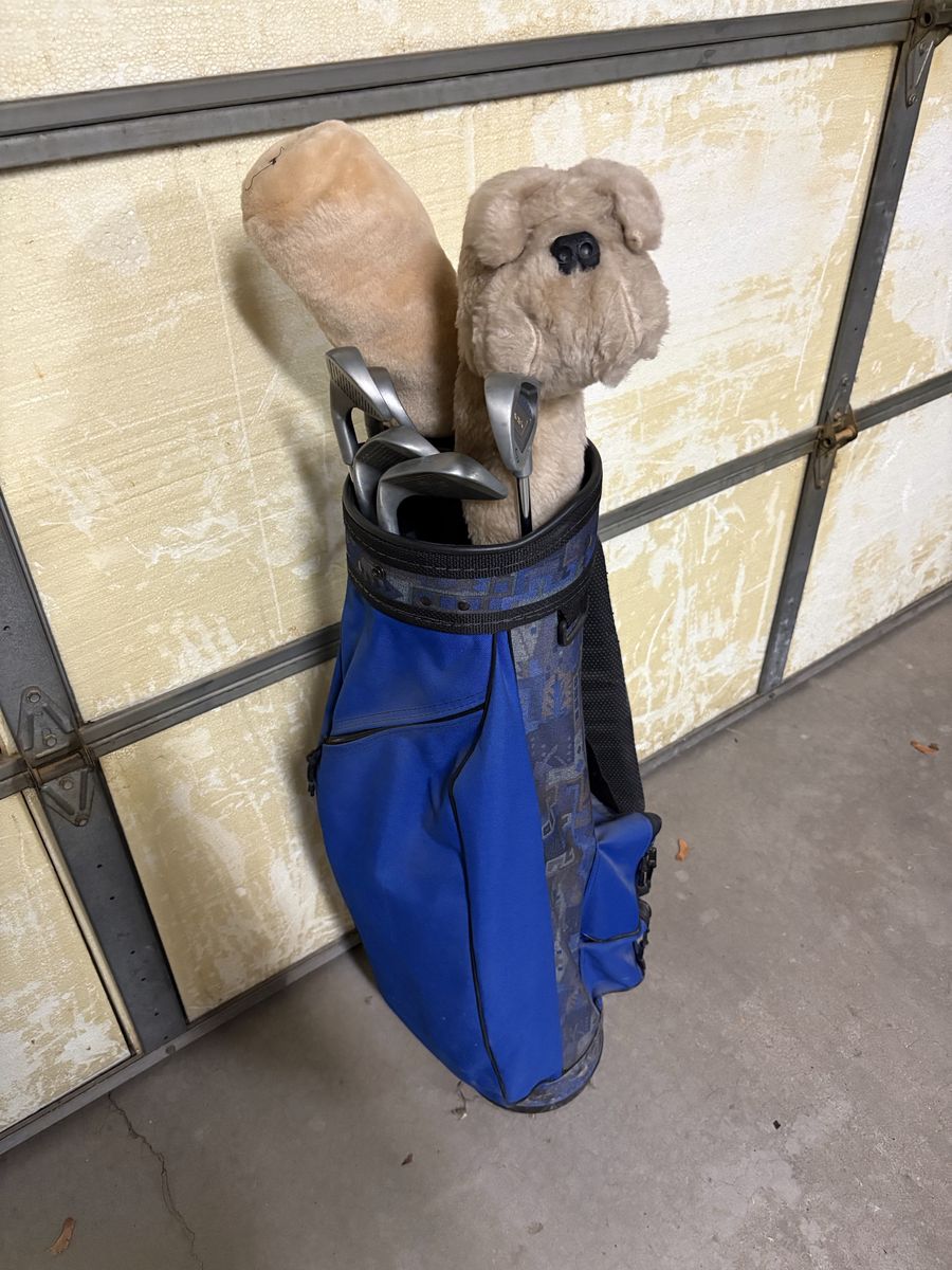Golf clubs with bag