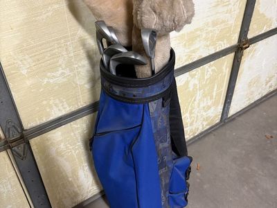 Golf clubs with bag