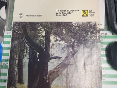 Vintage Bell System Yellow Pages Telephone Directory Area Code 307 May 1980 Kemmerer La Barge