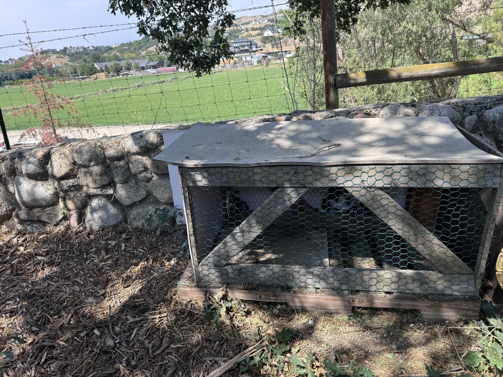Rabbit hutch or chicken hutch
