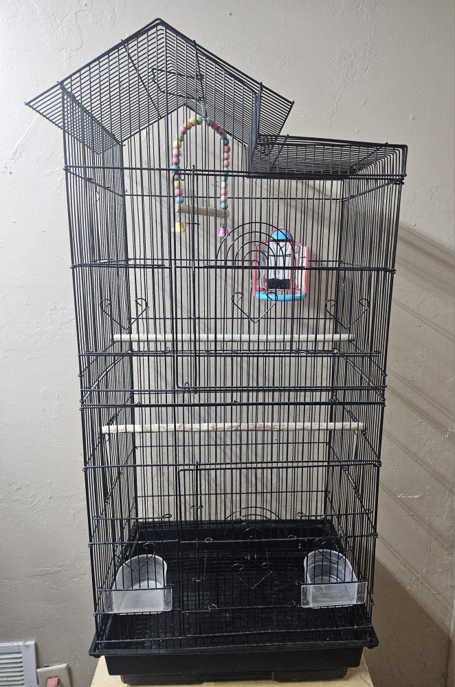 Large Black Bird Cage