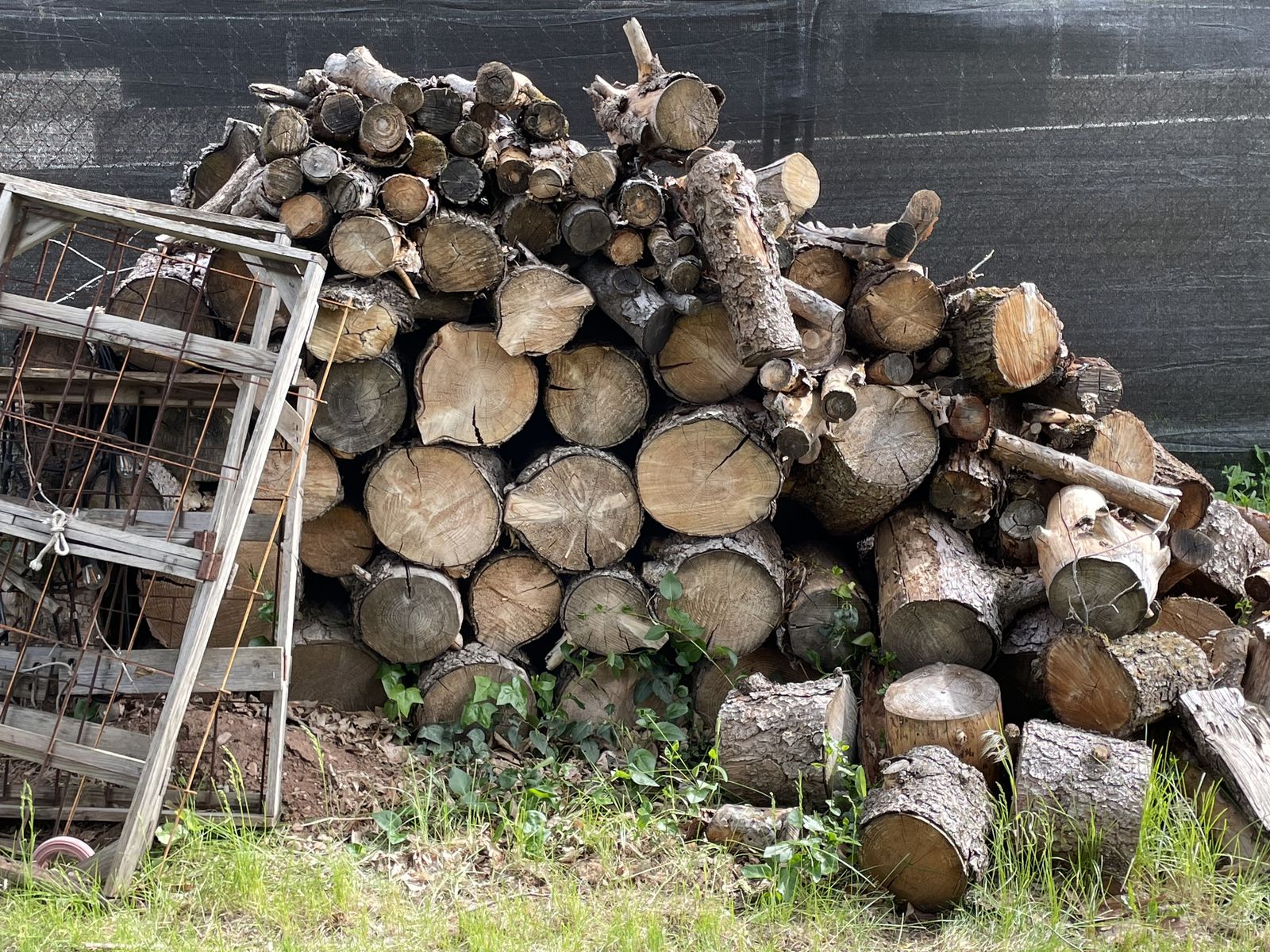 Fire wood