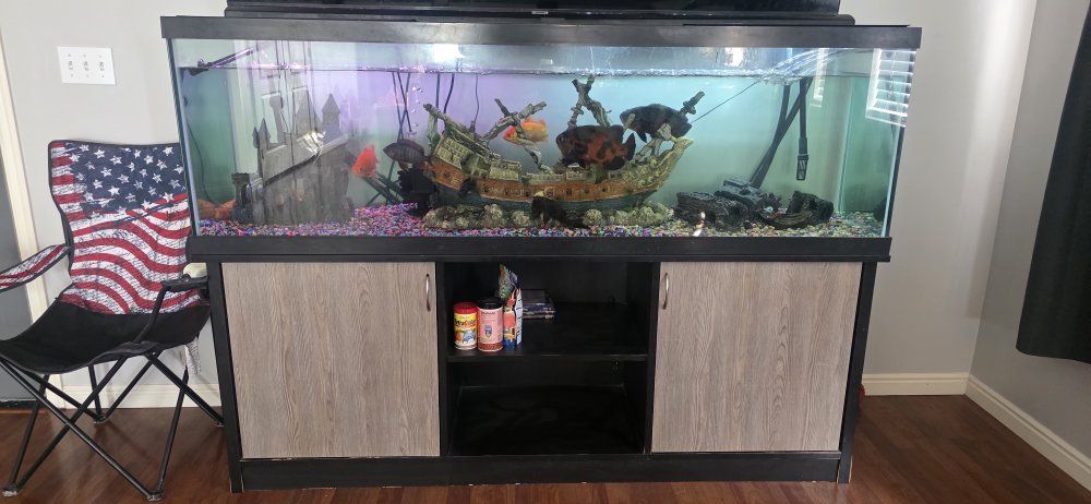 Fish Tank