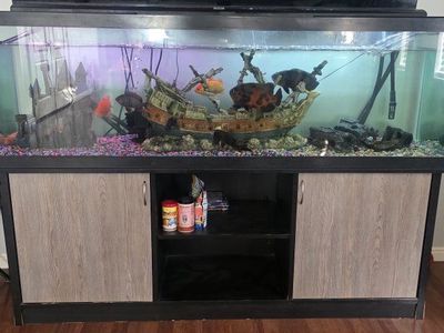 Fish Tank