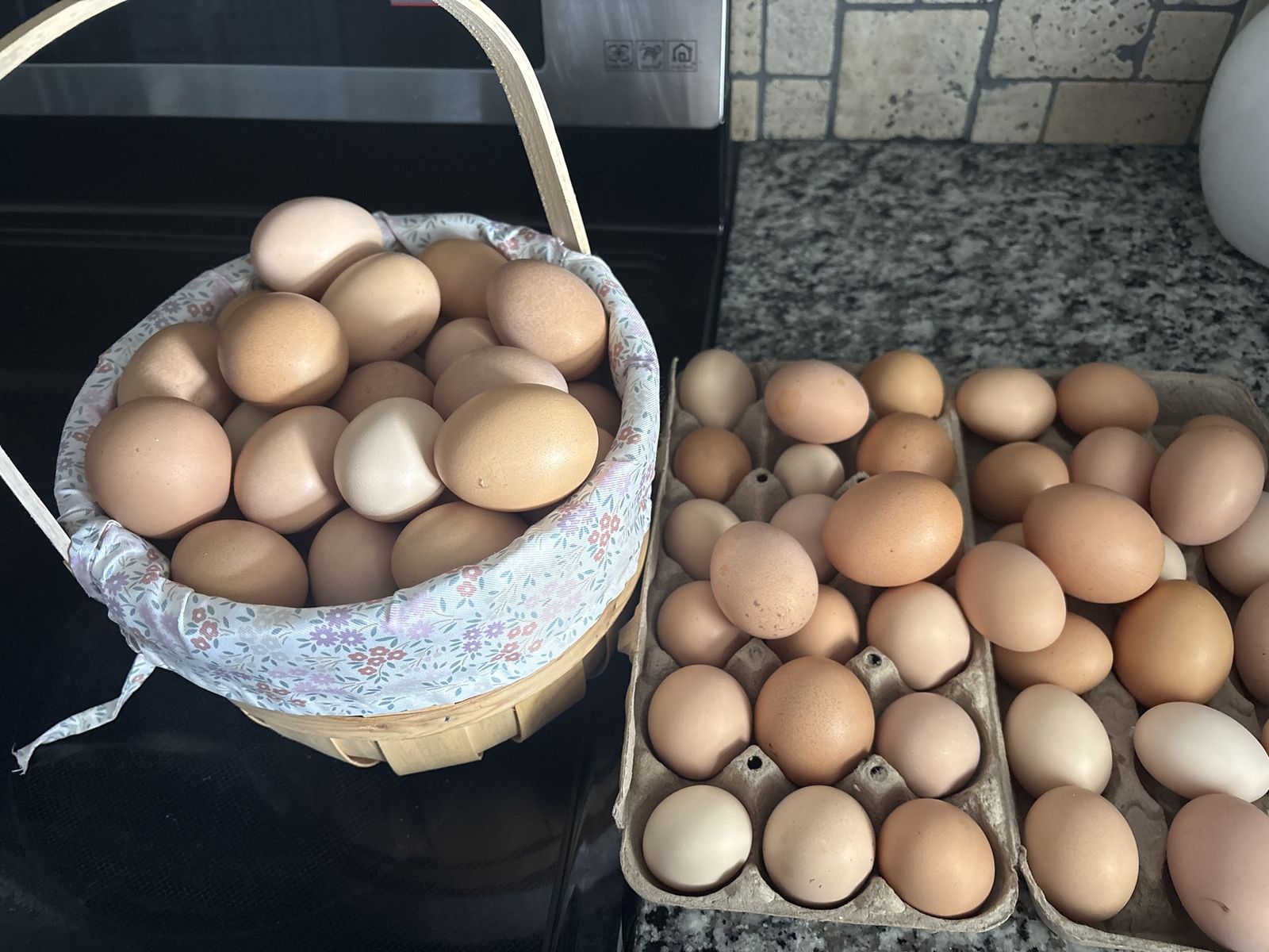 Fresh eggs organic