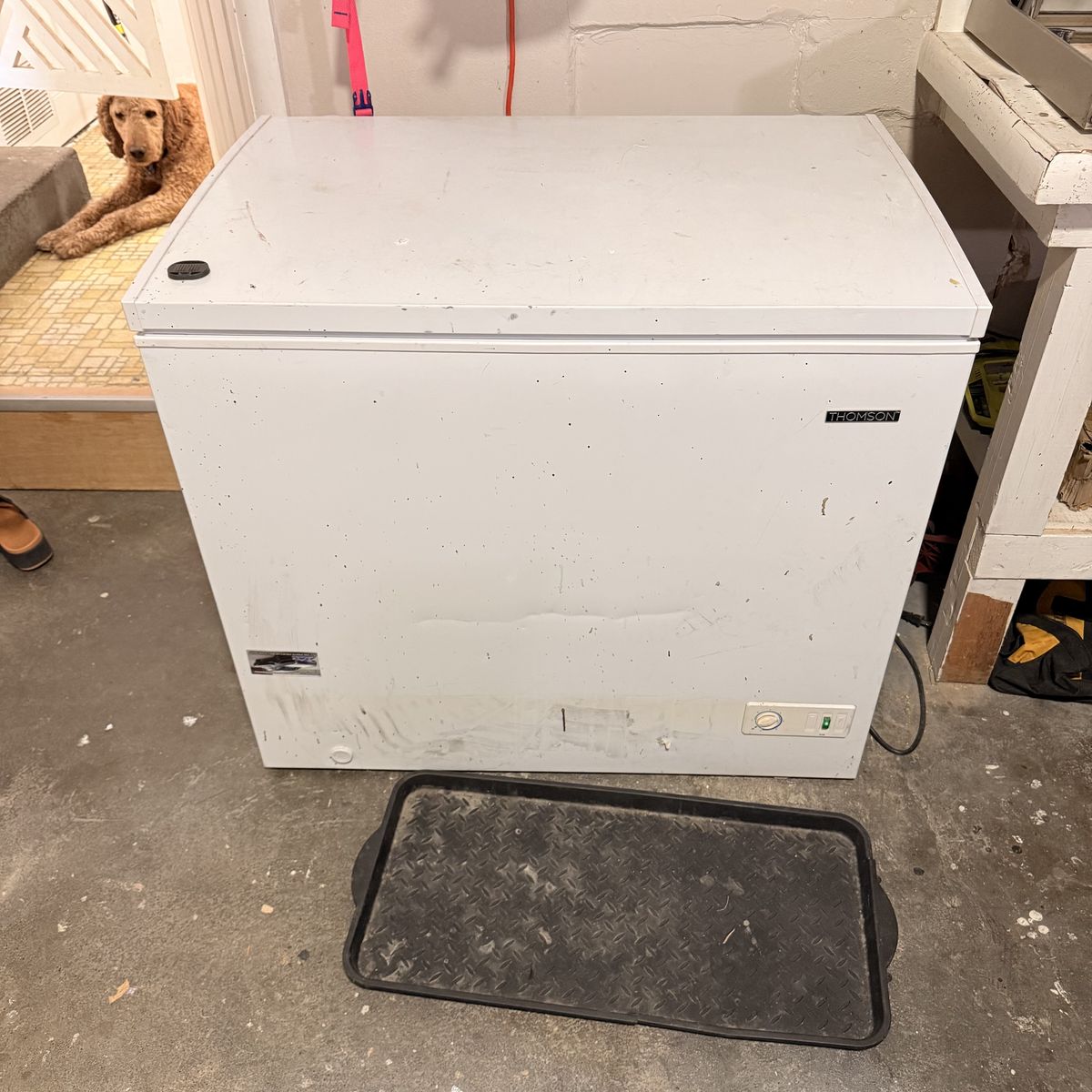 Thomson Chest Freezer 8.86 Cu. Ft. Deep Freezer