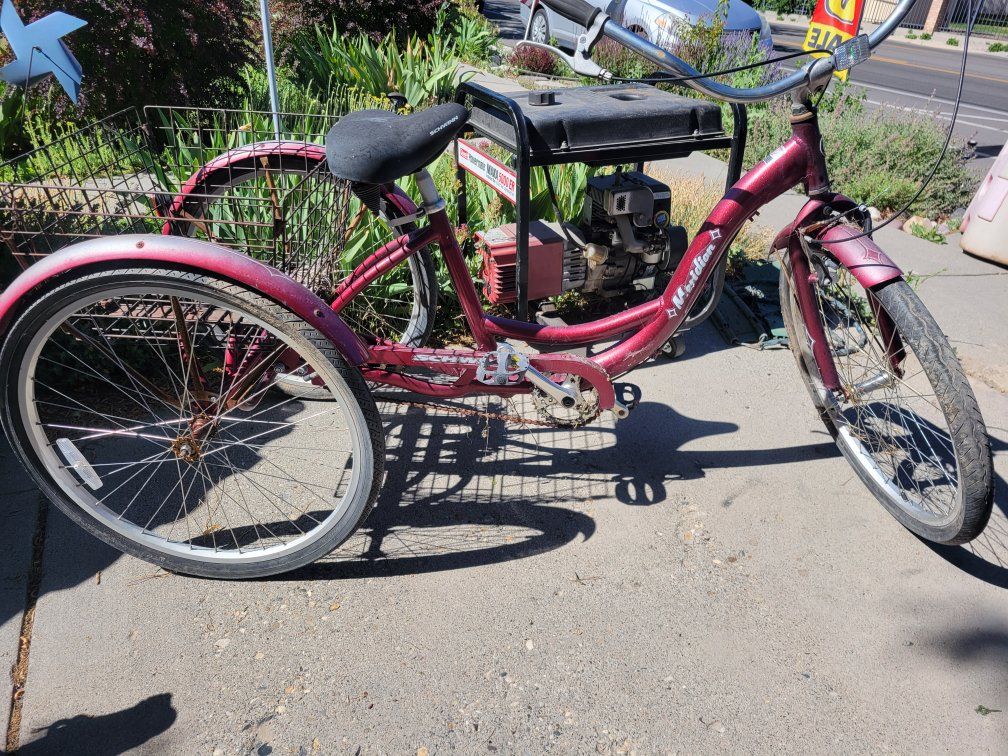 Schwinn Meridian Tricycle with Basket