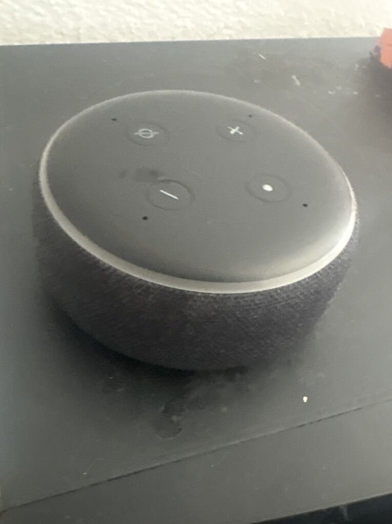 The Amazon Echo Device