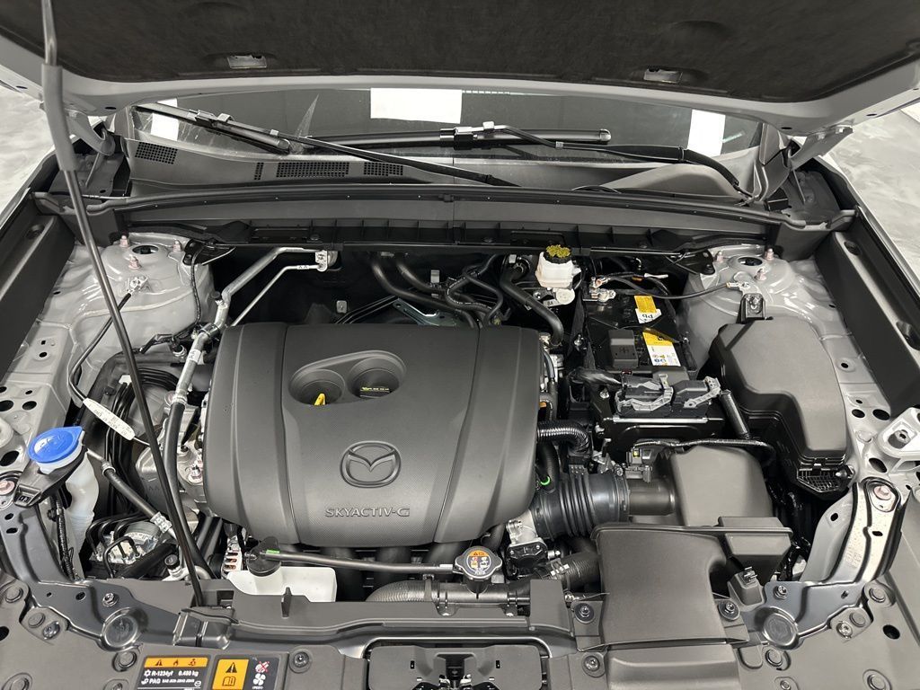 Main image 3