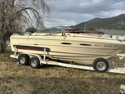 1984 searay
