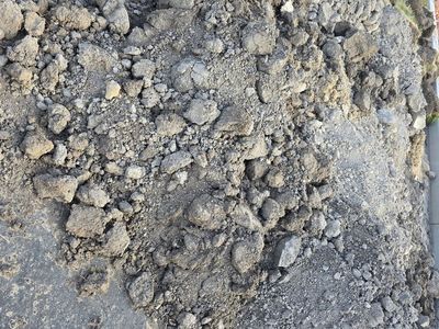 Dirt
