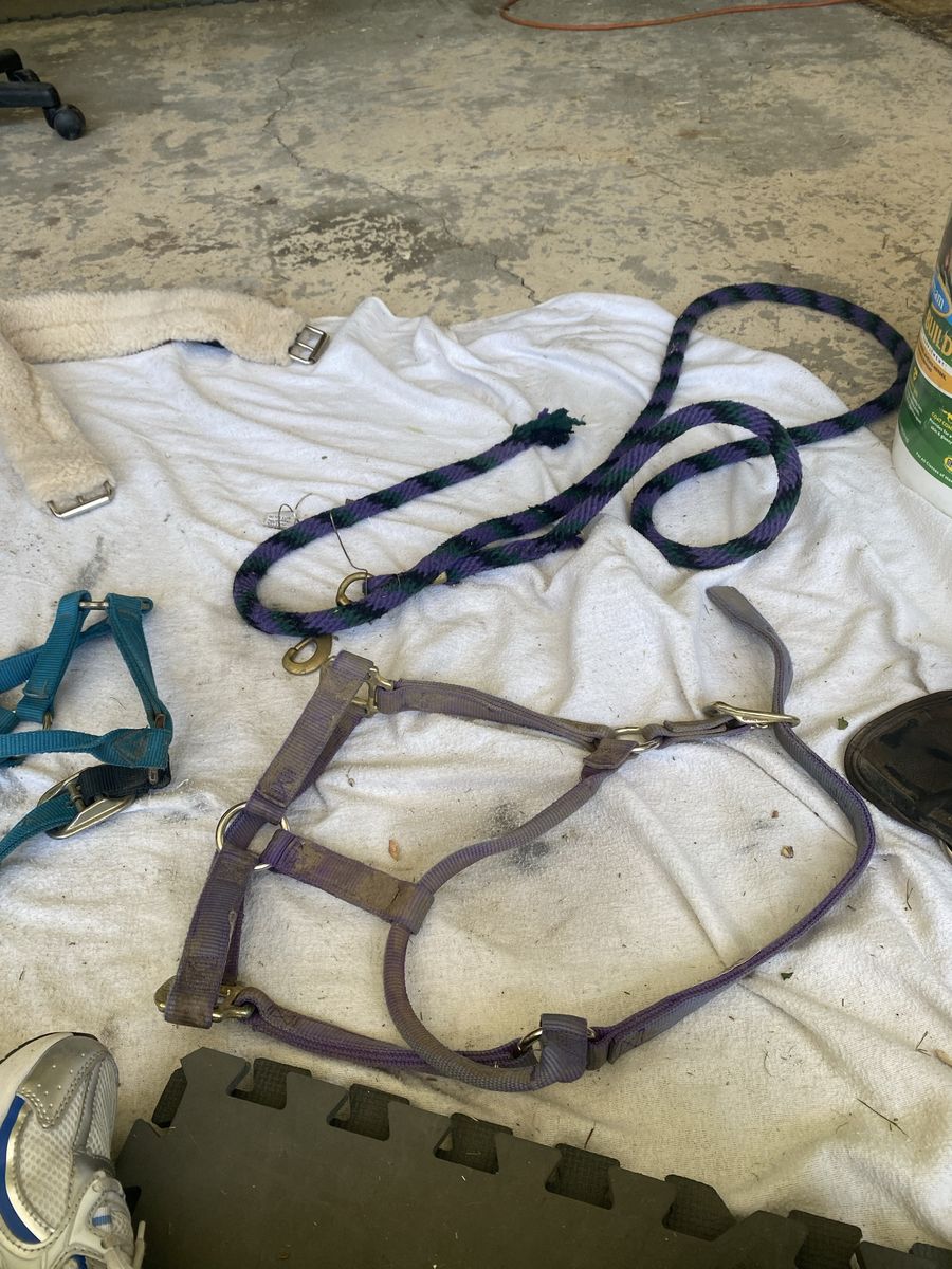 Tack for sale