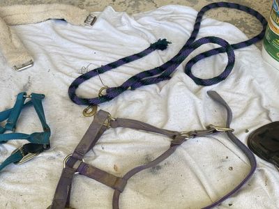 Tack for sale