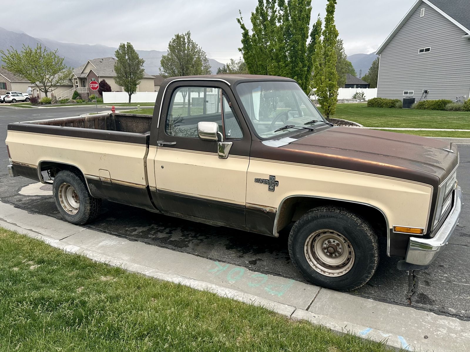 1987 CHEVROLET R/V 10 R10 Silverado