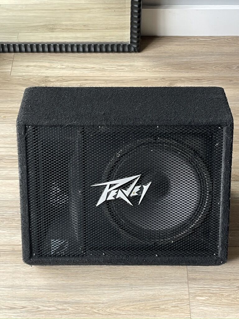 Band Speaker/ Floor Monitor For Musicians