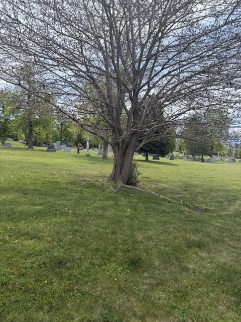 Mt. Olivet cemetery plot